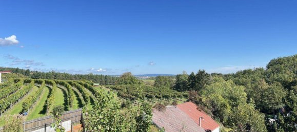 4-Zimmer Stadthaus in Krems an der Donau, Austria, Nr. 9854 7