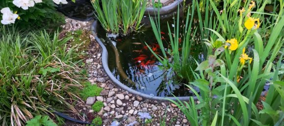 2 bedrooms Apartment in Augsburg, Germany No. 117717 11