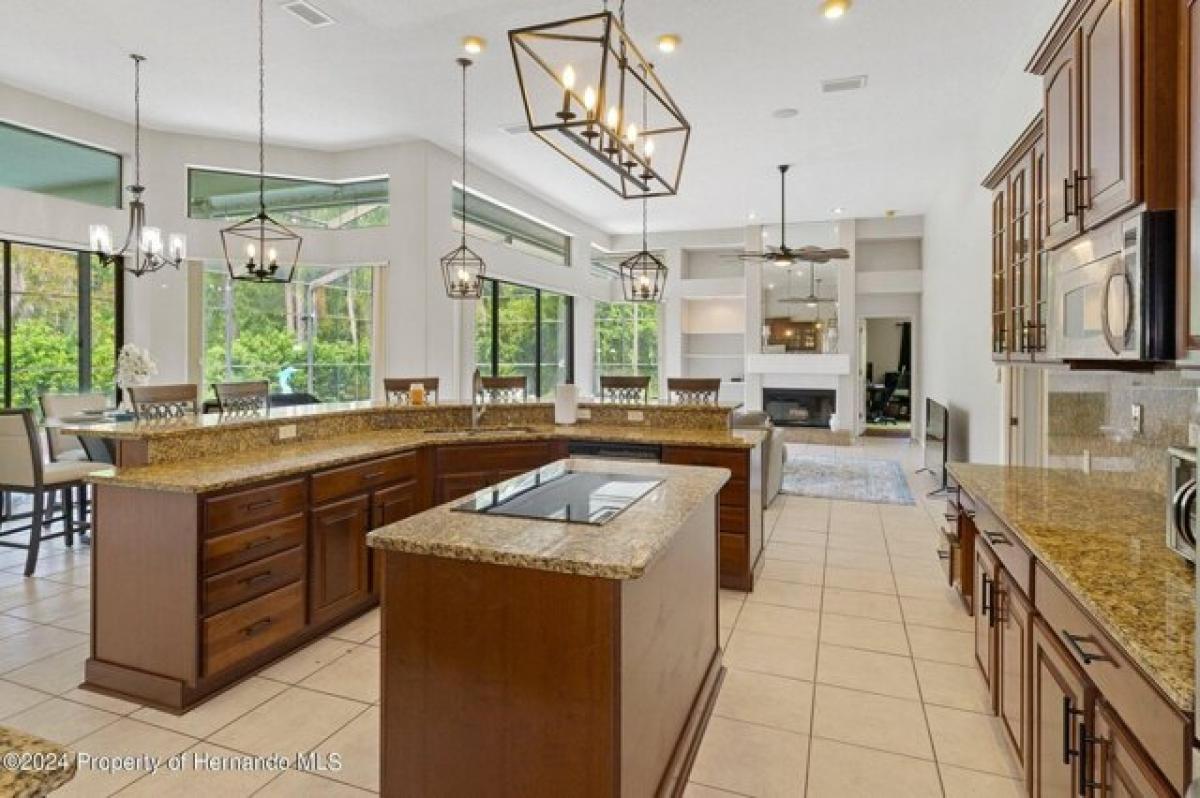 4 bedrooms House in Spring Hill, USA No. 427916