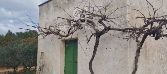 Terreno de 1 divisão em Ostuni, Italy N.º 178717 7