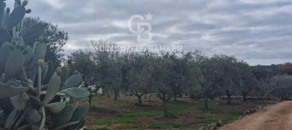 Terreno de 1 divisão em Ostuni, Italy N.º 178717 10