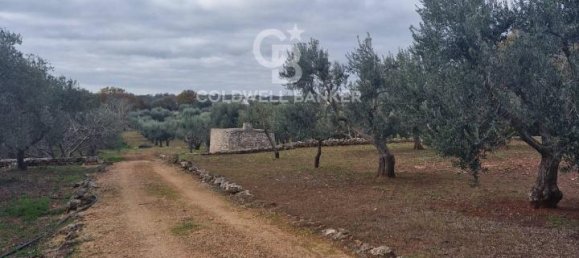 Terreno de 1 divisão em Ostuni, Italy N.º 178717 11