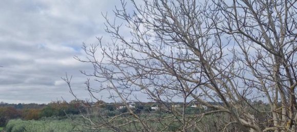 Terreno de 1 divisão em Ostuni, Italy N.º 178717 5