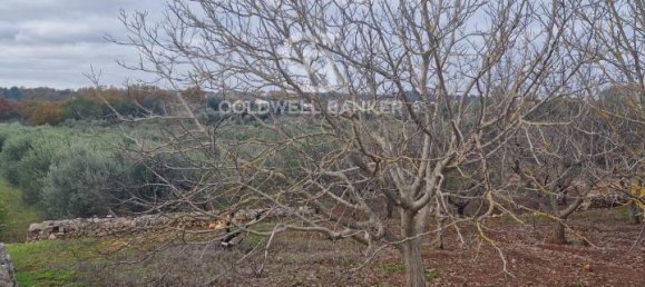 Terreno de 1 divisão em Ostuni, Italy N.º 178717 4