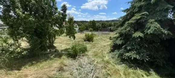 Adosado de 4 habitaciónes en Mansfeld-Sudharz, Germany No. 355162 15