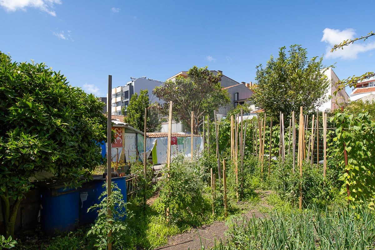 4 bedrooms House in Porto, Portugal No. 187747