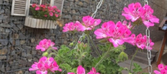 3 bedrooms House in Cochem-Zell, Germany No. 261452 15