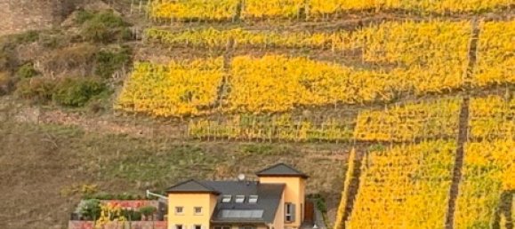 3 bedrooms House in Cochem-Zell, Germany No. 261452 5