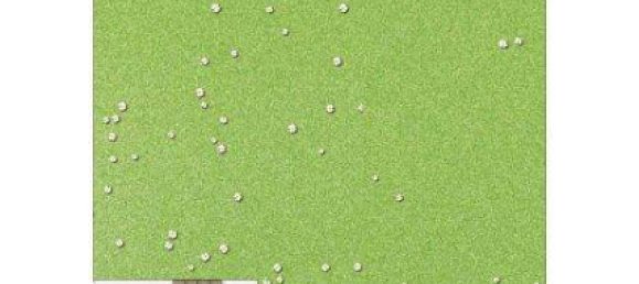 Casa de 4 habitaciónes en Traun, Austria No. 236888 6