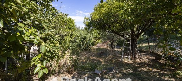 7-Zimmer Villa in Catanzaro, Italy, Nr. 285303 38