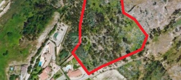 6000m² Land in Pacos de Ferreira, Portugal No. 31622 3