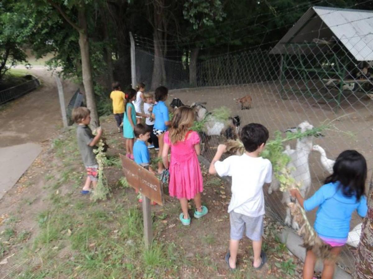 Terrain à Cordoba, Argentina No. 48537