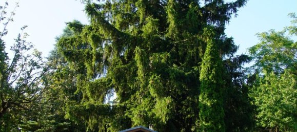 7 rooms Townhouse in Teltow-Flaming, Germany No. 244055 6