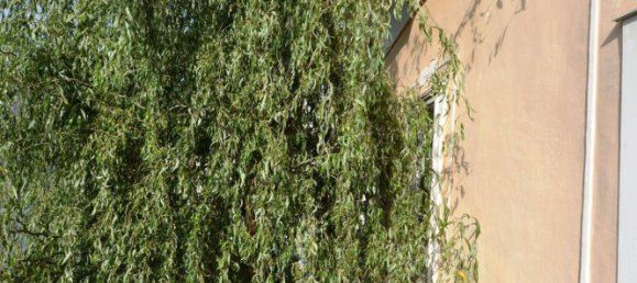 8-Zimmer Villa in Salzburg, Austria, Nr. 181720 8