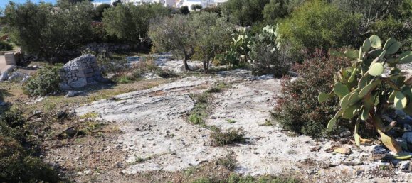 3-salle Maison à Morciano di Leuca, Italy No. 37567 30