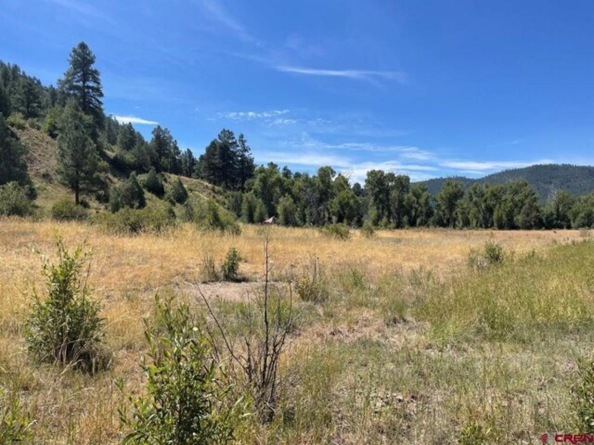  Land in Pagosa Springs, USA No. 489379