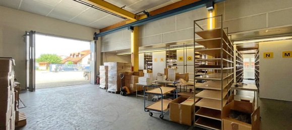 780m² Warehouse in Breisgau-Hochschwarzwald, Germany No. 43338 6