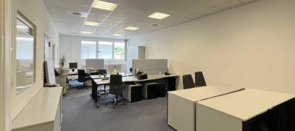 780m² Warehouse in Breisgau-Hochschwarzwald, Germany No. 43338 11