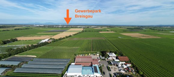 780m² Warehouse in Breisgau-Hochschwarzwald, Germany No. 43338 3