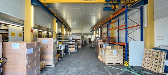 780m² Warehouse in Breisgau-Hochschwarzwald, Germany No. 43338 7
