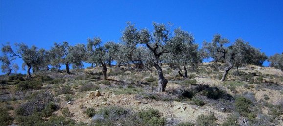 12000m² Hotel in Kavala, Greece No. 7970 7