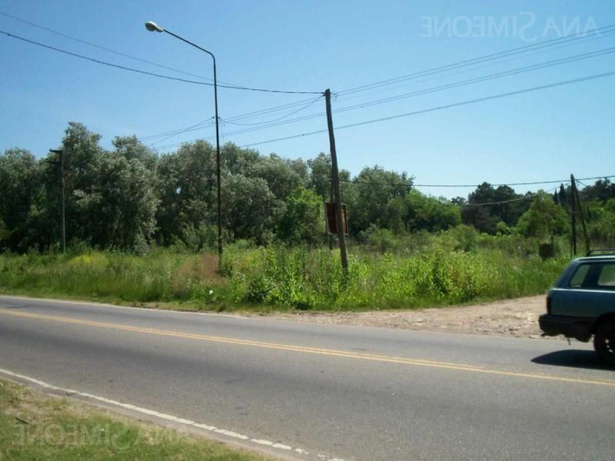 Grundstück in Pilar, Argentina, Nr. 48075