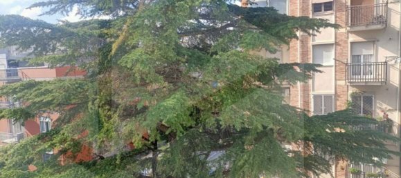 5 غرف نوم شقة في Bari, Italy رقم 21024 4