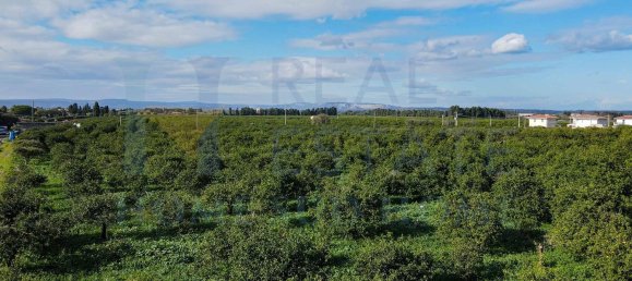 20-Zimmer Haus in Syracuse, Italy, Nr. 248002 17