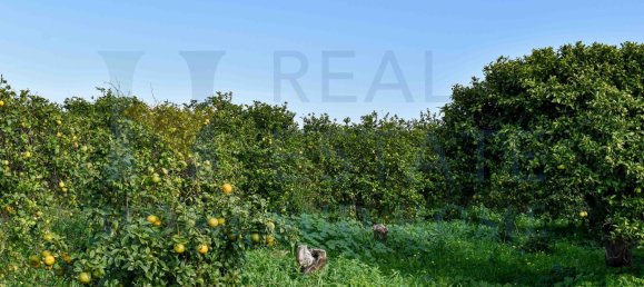 20-Zimmer Haus in Syracuse, Italy, Nr. 248002 11