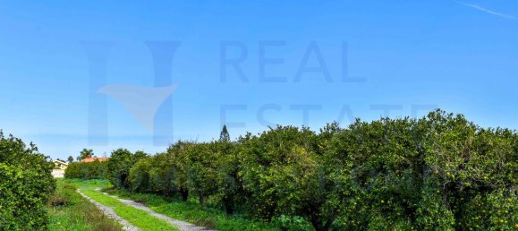 20-Zimmer Haus in Syracuse, Italy, Nr. 248002 47