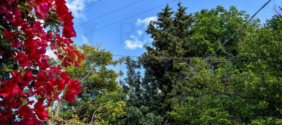 20-Zimmer Haus in Syracuse, Italy, Nr. 248002 9