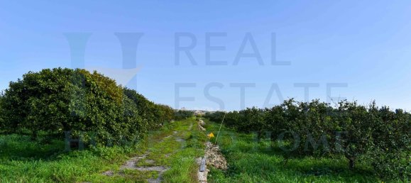 20-Zimmer Haus in Syracuse, Italy, Nr. 248002 48