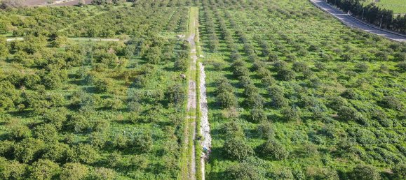 20-Zimmer Haus in Syracuse, Italy, Nr. 248002 16