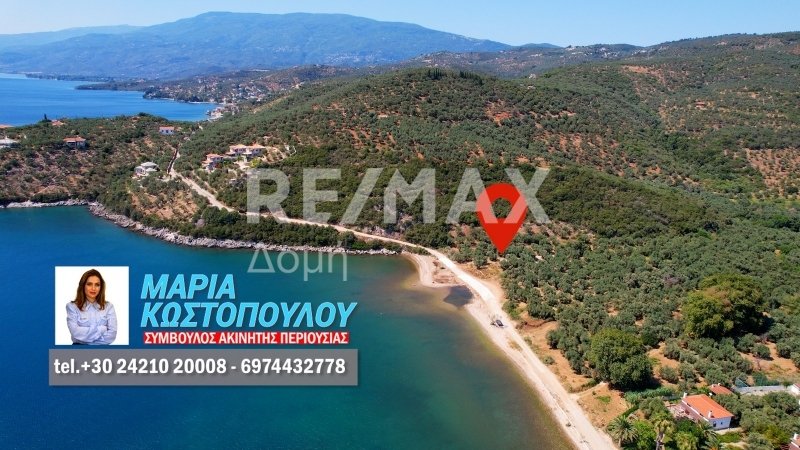 9613m² Land in Magnesia, Greece No. 780