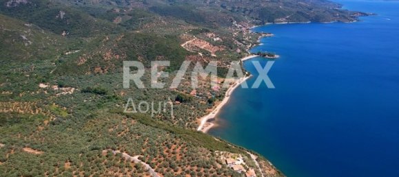 Grundstück in Magnesia, Greece 9613m², Nr. 780 10