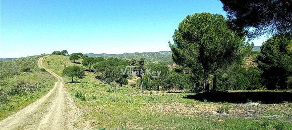 Casa T2 em São Bartolomeu de Messines, Portugal N.º 9692 7