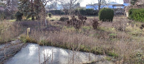 Земельный участок 2231м² в Швехат, Австрия № 111138 4