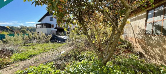 3 bedrooms House in Ebersheim, France No. 226086 15