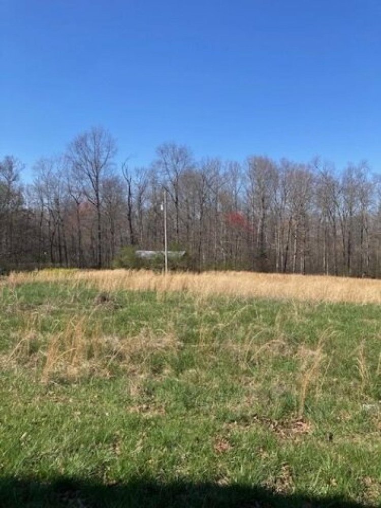 2 bedrooms House in Dickson, USA No. 392824