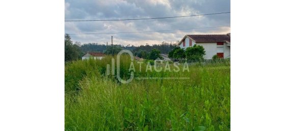 992m² Land in Valongo do Vouga, Portugal No. 206109 5