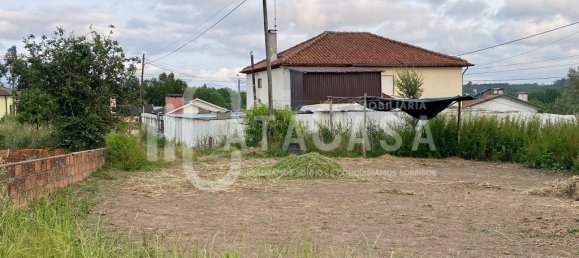 992m² Land in Valongo do Vouga, Portugal No. 206109 7