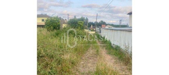 992m² Land in Valongo do Vouga, Portugal No. 206109 10