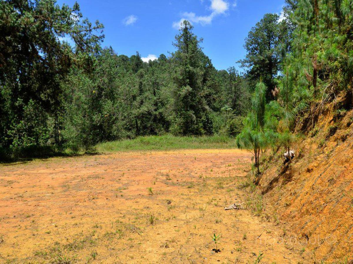  Land in Antioquia, Colombia No. 481