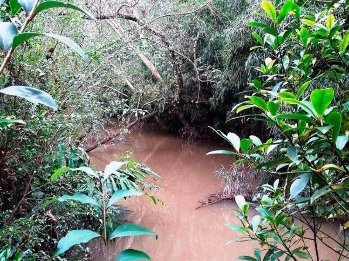  Land in Tigre, Argentina No. 44721