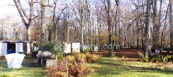 2 bedrooms House in Nogent-sur-Vernisson, France No. 156118 10