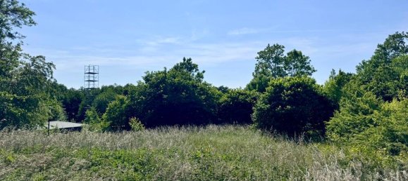 Grundstück in Vorpommern-Rügen, Germany, Nr. 225017 5