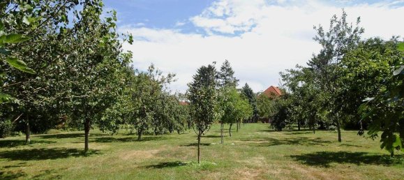Casa de 9 habitaciónes en Wimpassing an der Leitha, Austria No. 215808 28