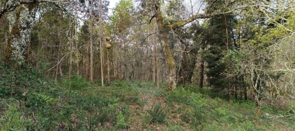 707m² Land in Taide, Portugal No. 35426 12