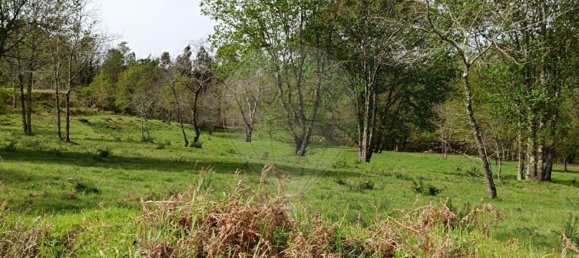 707m² Land in Taide, Portugal No. 35426 11