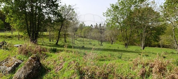 707m² Land in Taide, Portugal No. 35426 15